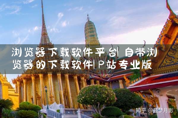 浏览器下载软件平台|P站专业版