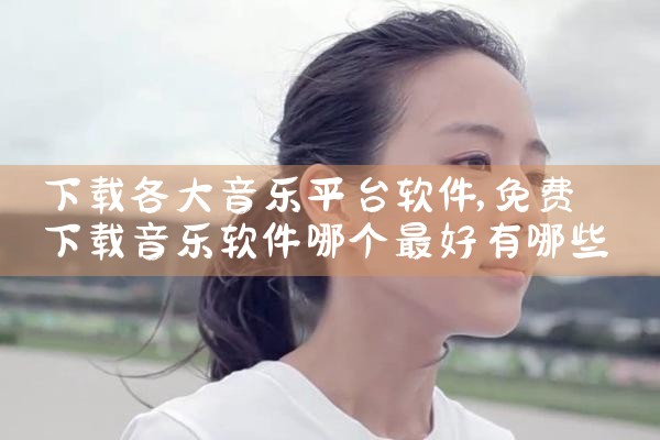 下载各大音乐平台软件|糖心Vlog