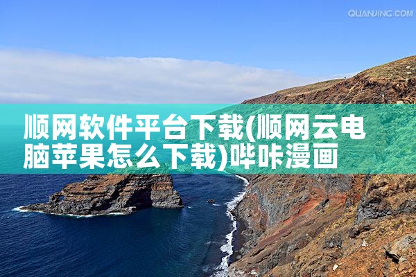 顺网软件平台下载|哔咔漫画