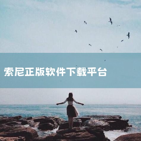 使用iptc metadata preset(https://www.sony.net/iptc/help/) 可以创建和编辑iptc信息并预先将信息写入存储卡. 了解详情 > iptc metada,P站专业版