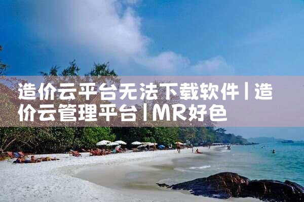 造价云平台无法下载软件|MR好色