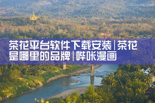 茶花平台软件下载安装|哔咔漫画