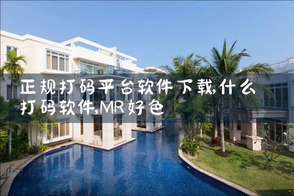 正规打码平台软件下载|MR好色