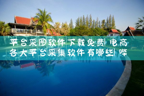 平台控制足球的软件下载|P站专业版
