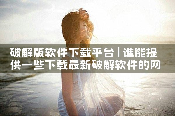 破解版软件下载平台|MR好色
