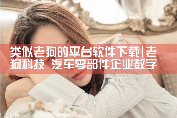 类似老狗的平台软件下载|P站专业版