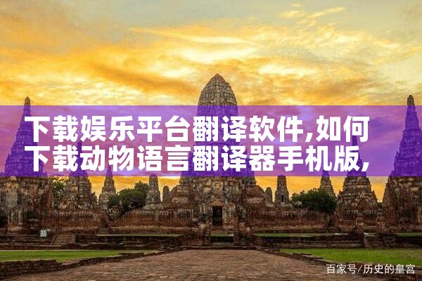 下载娱乐平台翻译软件|P站专业版