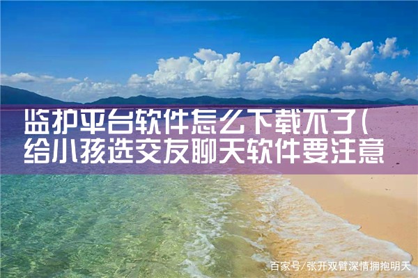 监护平台软件怎么下载不了|P站专业版