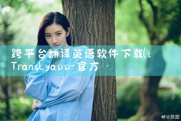 跨平台翻译英语软件下载|P站专业版