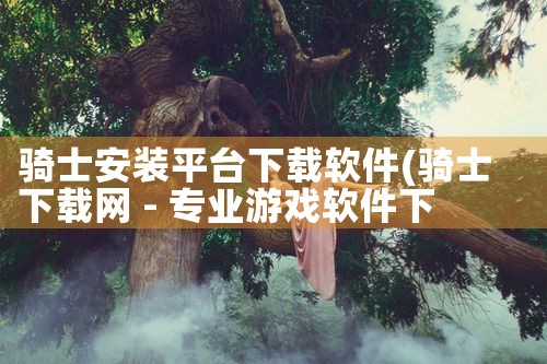 骑士安装平台下载软件|MR好色