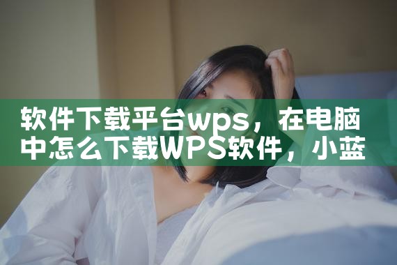 软件下载平台wps|小蓝视频