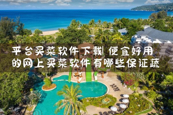 平台买菜软件下载|小蓝视频