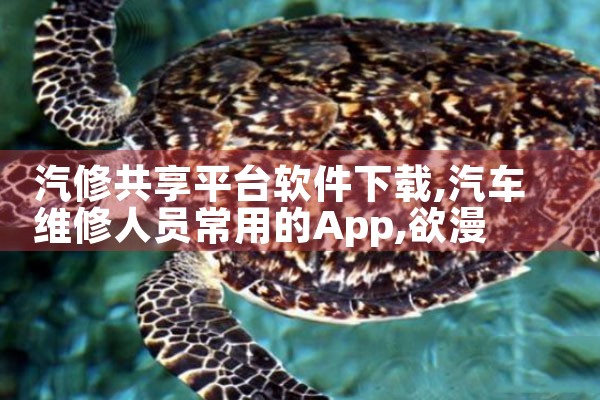 汽修共享平台软件下载|欲漫涩