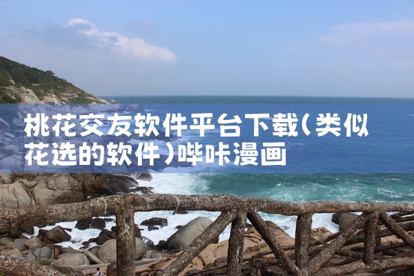 桃花交友软件平台下载|哔咔漫画