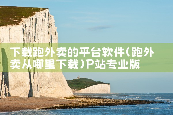 财税工具平台下载软件|P站专业版
