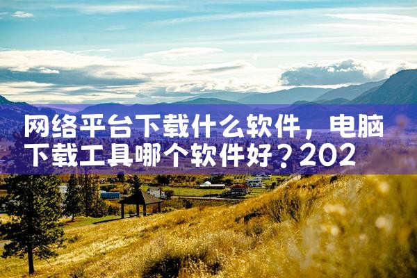 网络平台下载什么软件|哔咔漫画