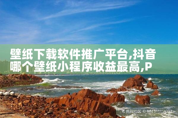 壁纸下载软件推广平台|P站专业版