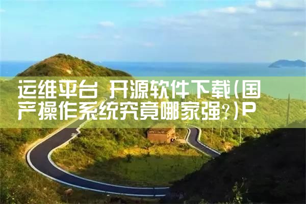 运维平台 开源软件下载|P站专业版