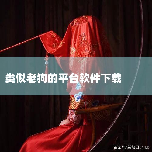 同时，边缘计算网关还支持分频传输、增量传输、变化传输、断点续传等数据传输方式，以及与第三方软件系统对接的数据接口。老狗科技的大数据平台基于数字孪生技术，实现了OT与IT数据的融合，支持分布式数据处理、|P站专业版