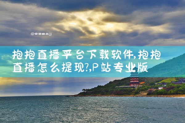 抱抱直播平台下载软件|P站专业版
